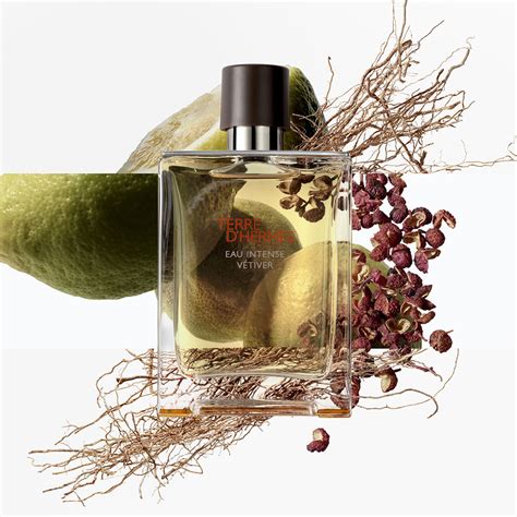 parfum terre hermes prix|terre hermes perfume price.